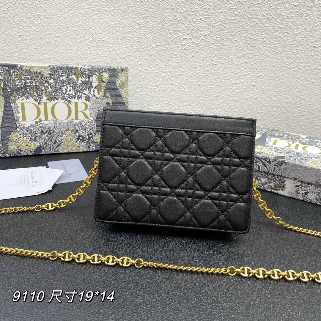 Dior Caro Pouch 19 Bag in Black Calfskin