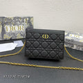 Dior Caro Pouch 19 Bag in Black Calfskin