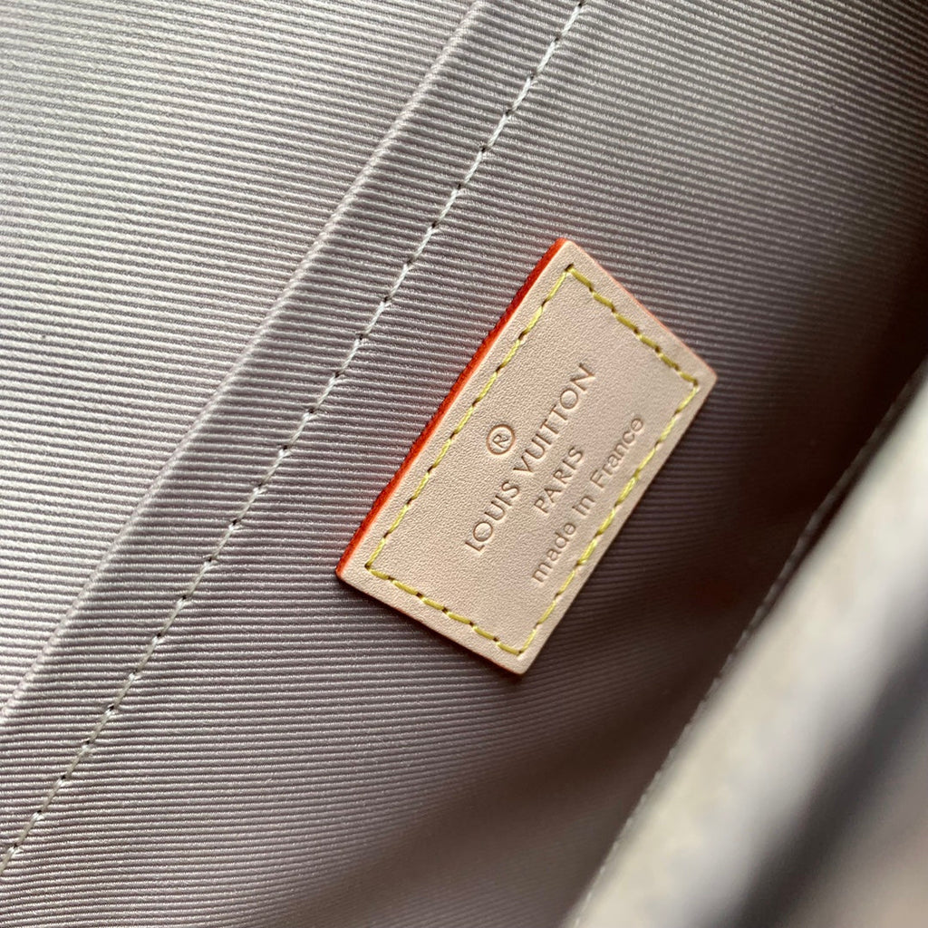 Louis Vuitton Cluny Mini 20 in Brown Monogram Canvas Bag