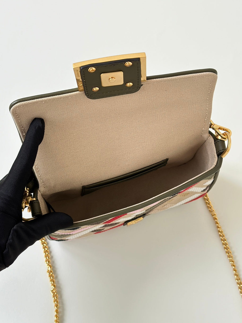 Baguette Canvas 19 Bag with Multicolour Ff Embroidery Gold Hardware