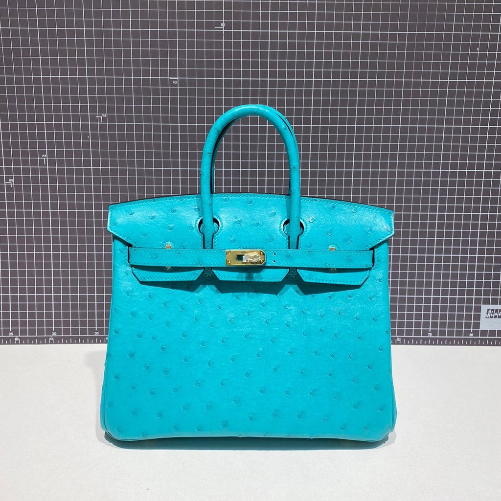 Hermes Birkin 30cm Cloud Blue Ostrich Leather Gold Hardware Bag