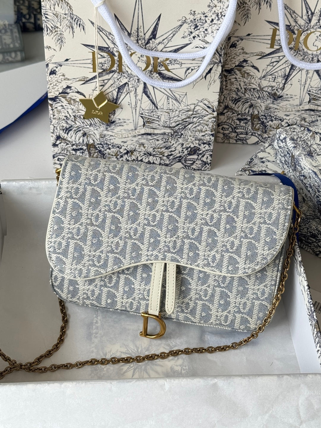 Dior 25S Medium Saddle Pouch with Chain 21 in Light Blue Dior Oblique Jacquard Canvas