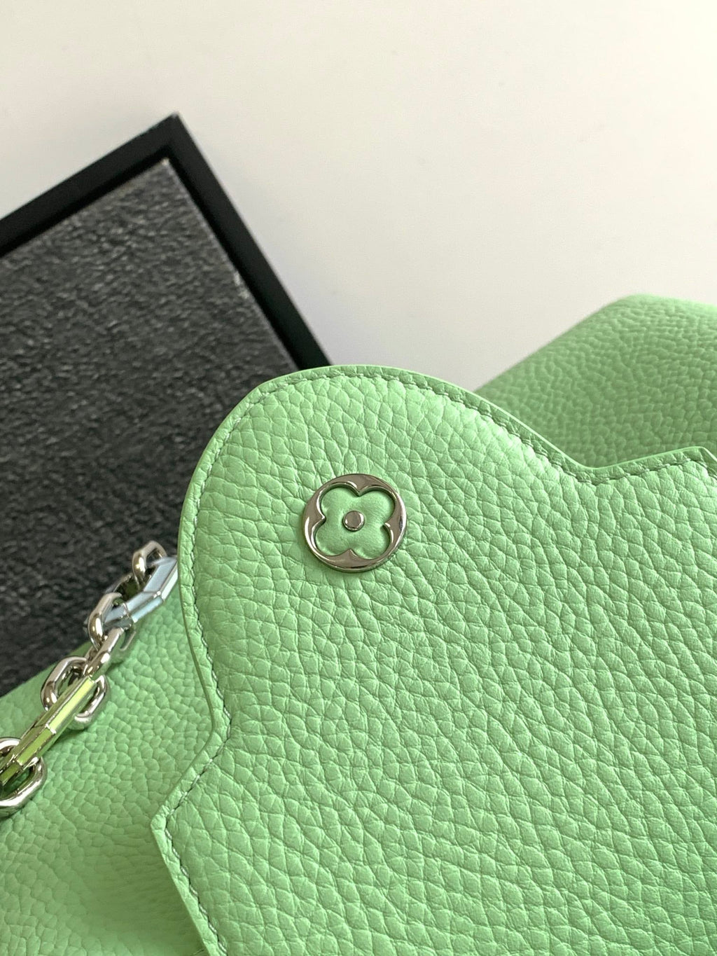 Louis Vuitton Capucines BB 27 in Light Green Taurillon Silver Hardware Bag