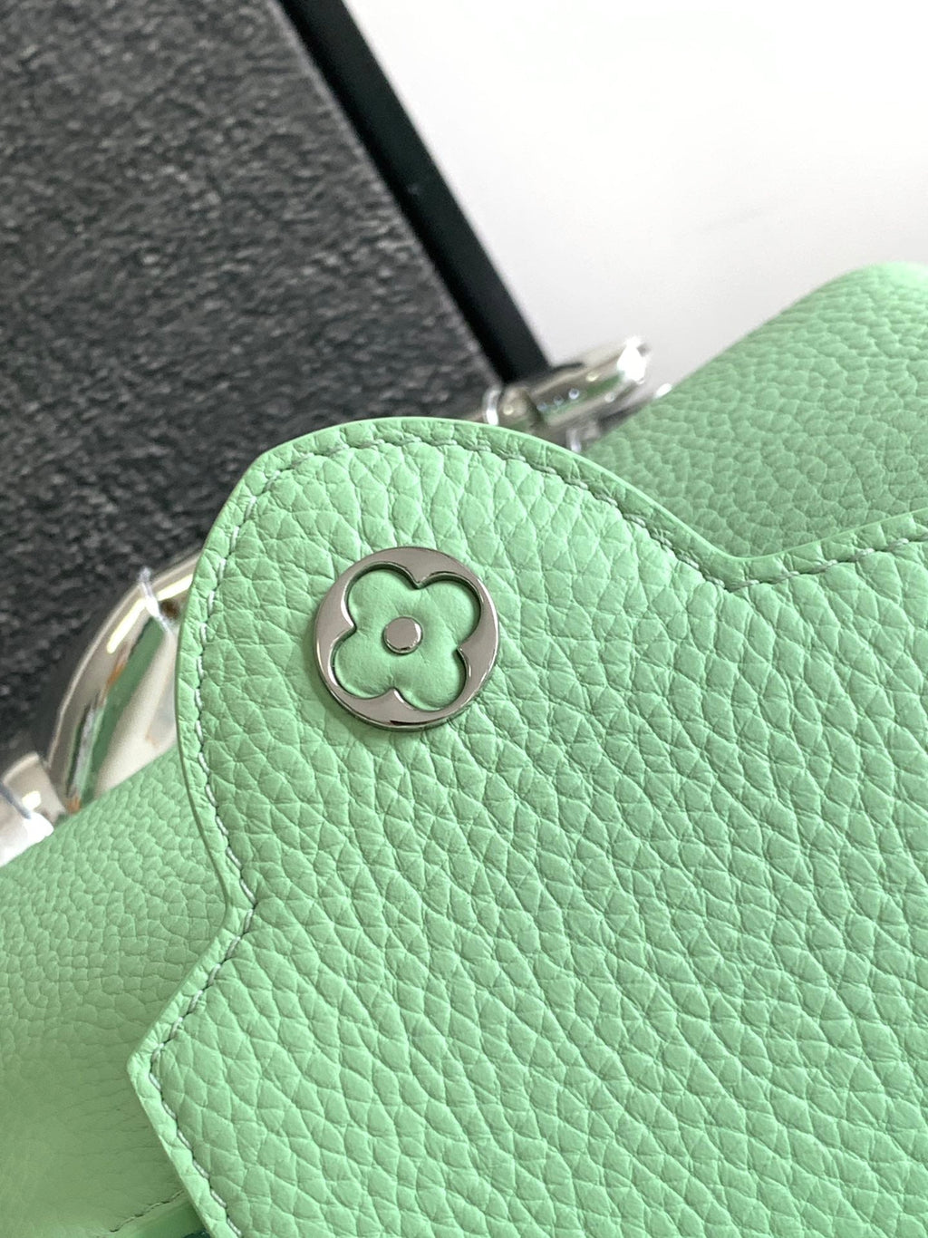 Louis Vuitton Capucines Mini 21 in Light Green Taurillon Silver Hardware Bag