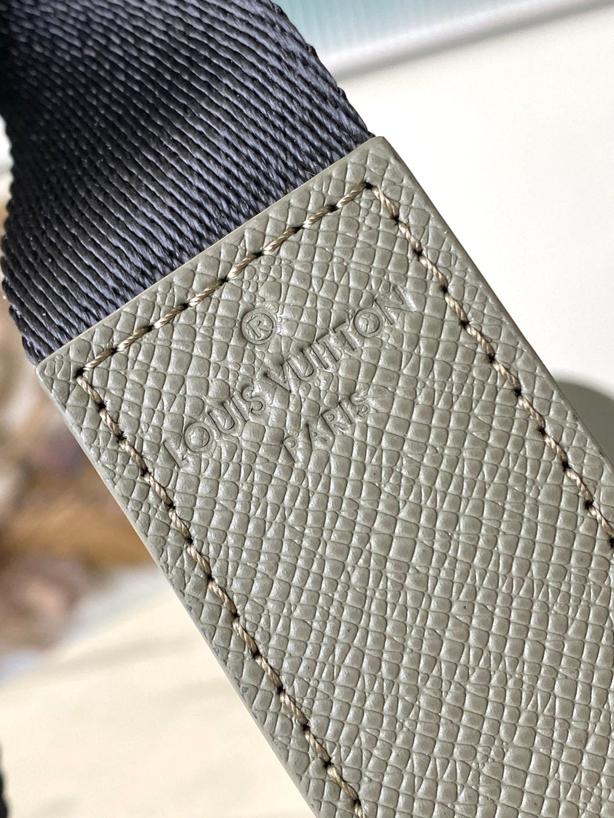 Louis Vuitton District PM 26 in Khaki Green Calfskin Bag