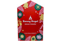 Sonny Angel Advent Calendar